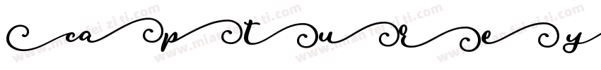 Capture your heart at 01 sight字体转换
